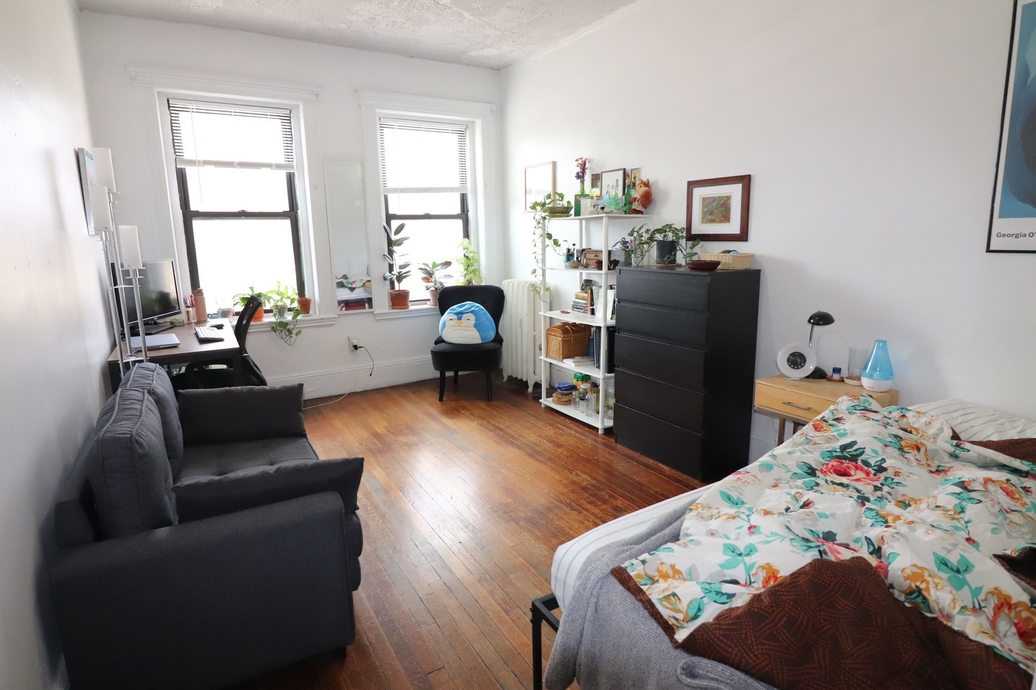 238 Hemenway Street  UNIT 6 Boston Massachusetts United States, for Rent, residential,  , The Edwards Realty Team - Barrett Sotheby's International Realty
