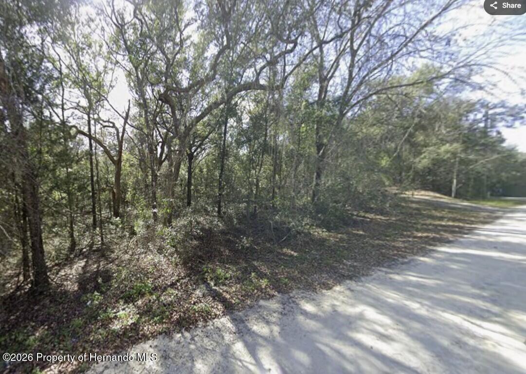 34086 Arrowrock Street Webster Florida United States, for Sale, residential,  , Gold Star Realty Group Inc