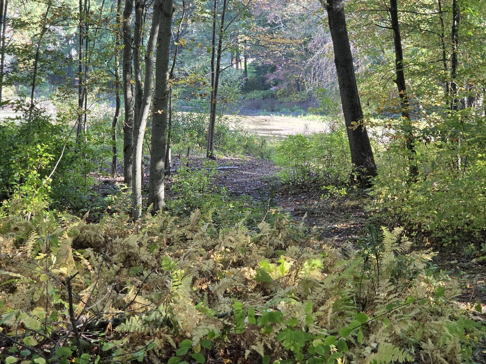 Sunny Webster Massachusetts United States, for Sale, residential, Laura Poulin-Harkins, Century 21 XSell Realty