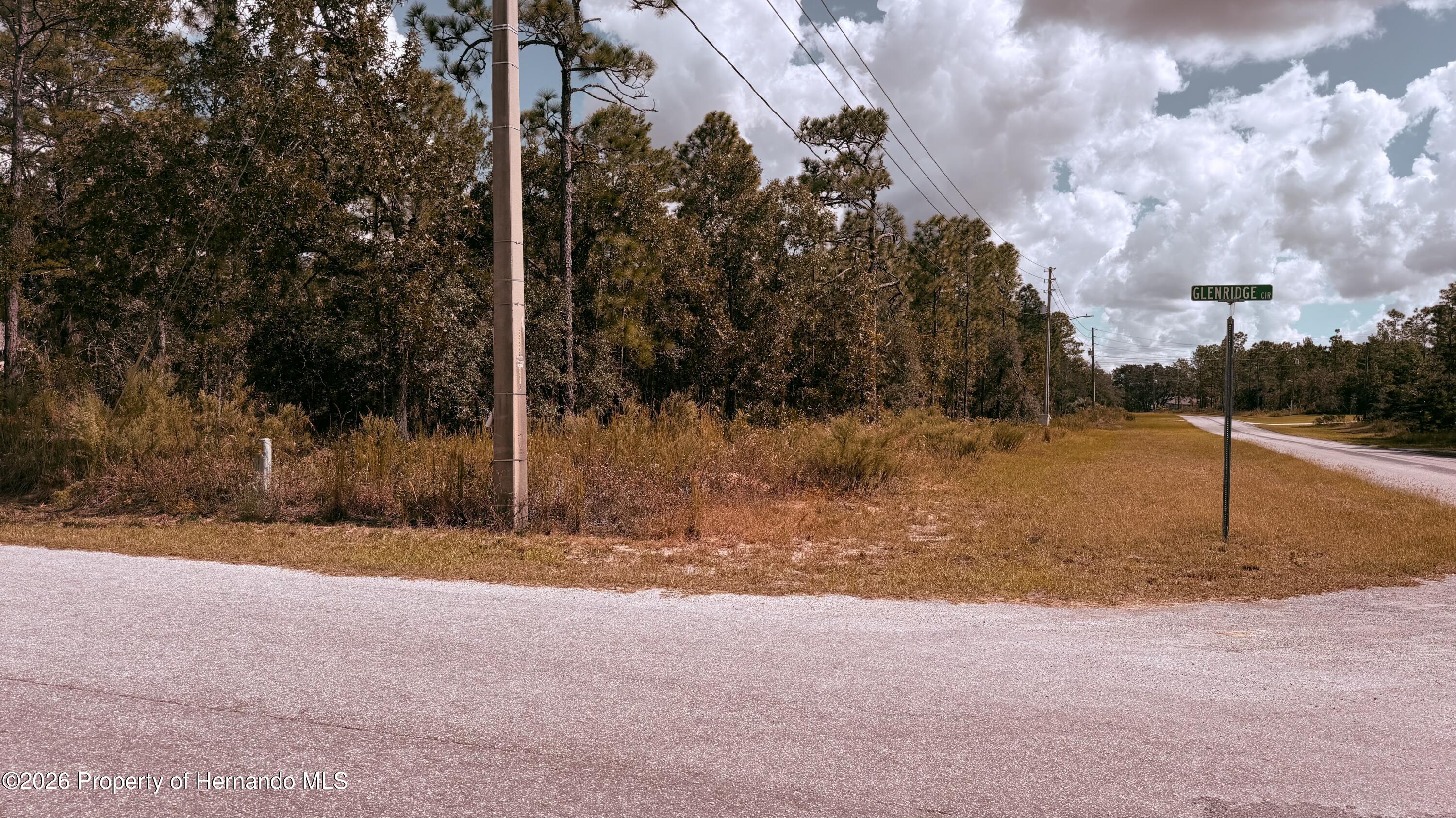 48 Glenridge Boulevard Homosassa Florida United States, for Sale, commercial,  , Gold Star Realty Group Inc