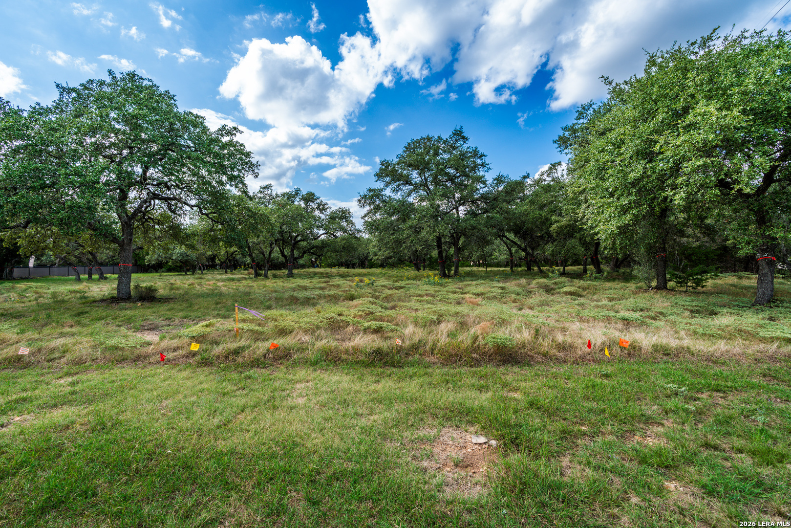 23407 Osceola Blf San Antonio Texas United States, for Sale, residential, Angelica Albanese Wilson, The Firm Real Estate Advisors
