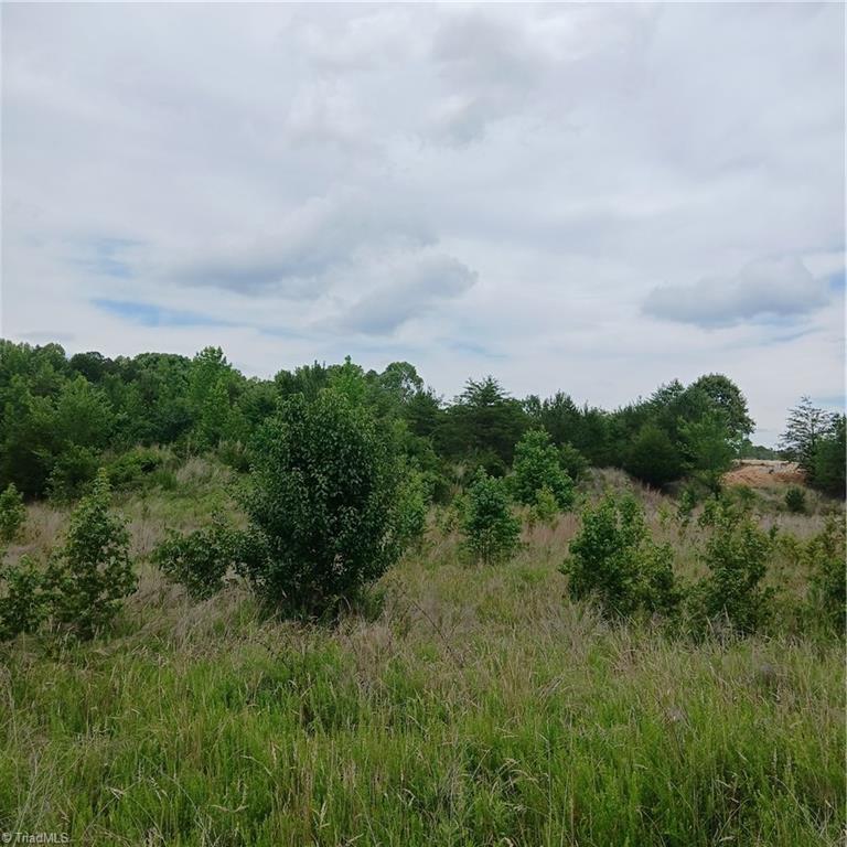 1133 Springfield Road High Point North Carolina United States, for Sale, residential, J.C. Grose, Triad Home and Land Co.