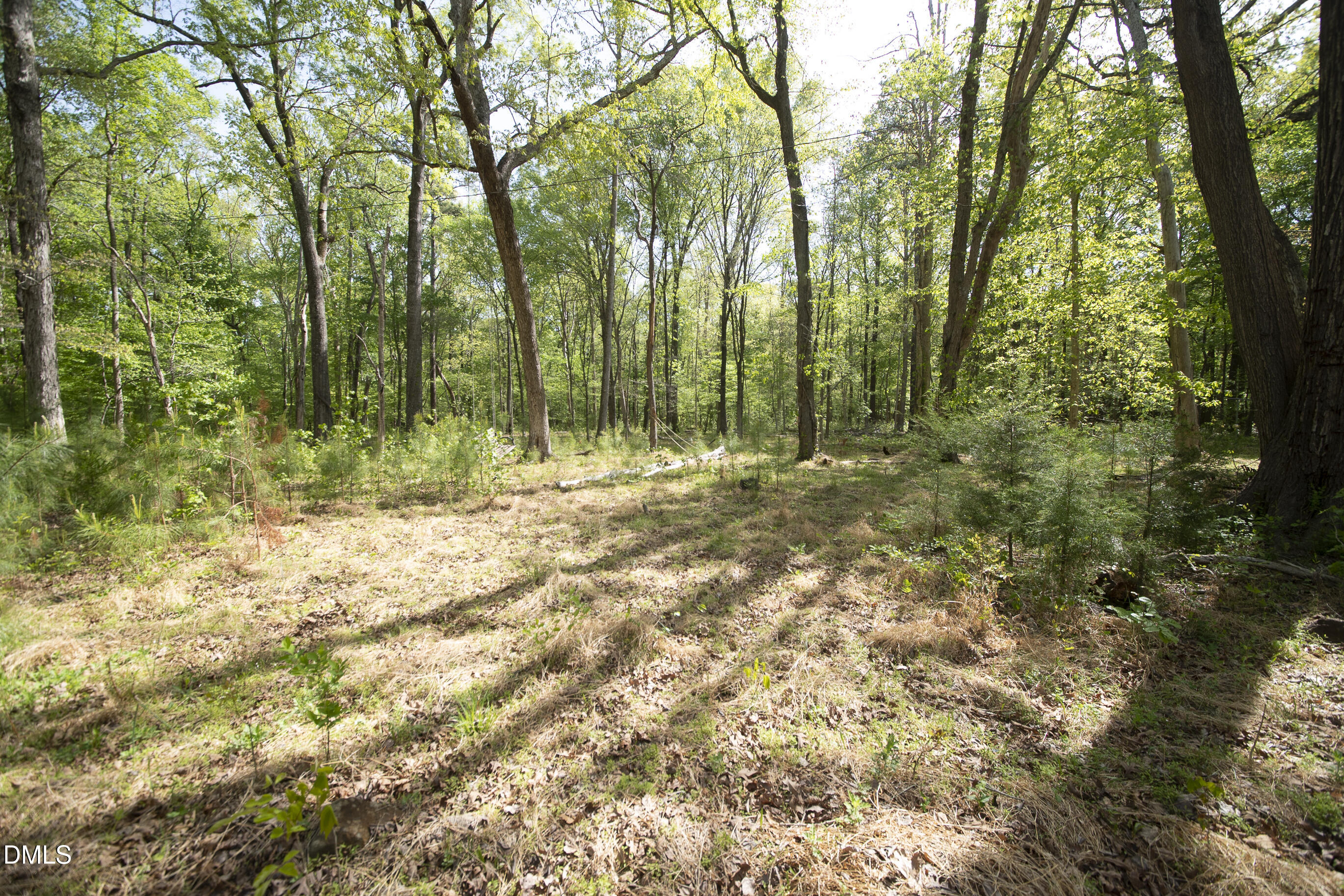7202 Old Nc 86 Chapel Hill North Carolina United States, for Sale, residential,  , Realty World - Carolina Properties