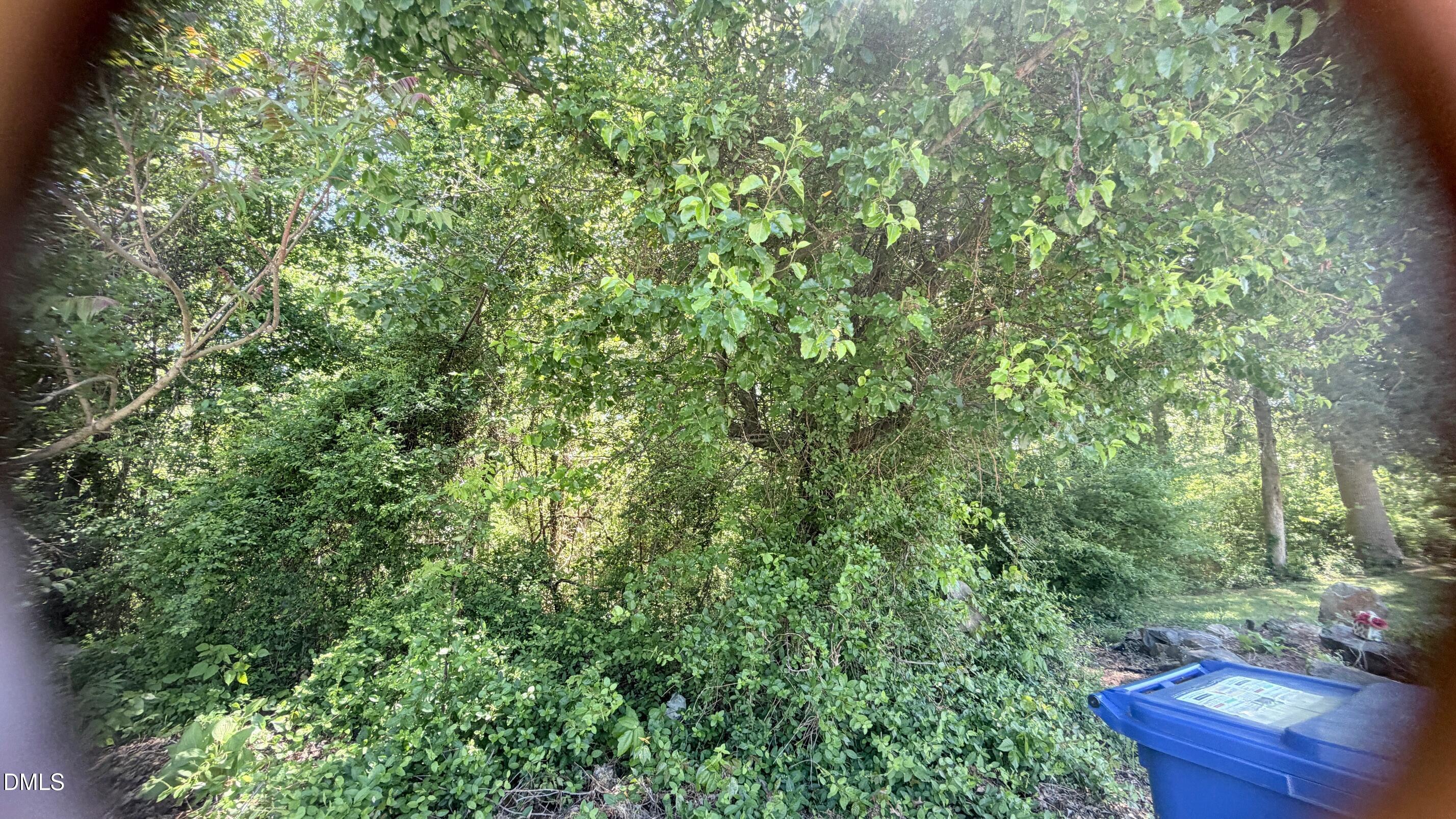 1707 Wind Sound Way Siler City North Carolina United States, for Sale, residential,  , Realty World Carolina Properties