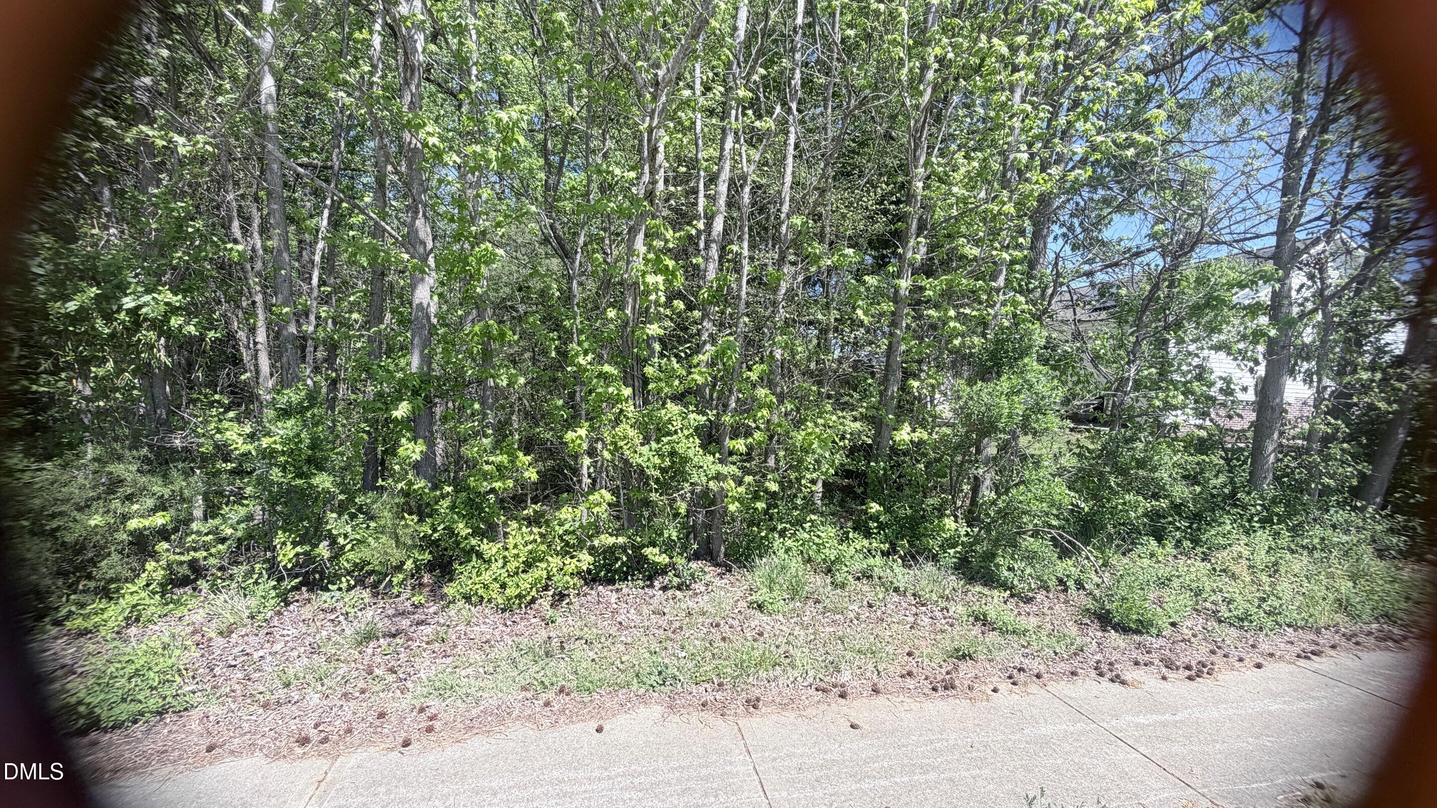 Harmony Drive Siler City North Carolina United States, for Sale, residential,  , Realty World Carolina Properties