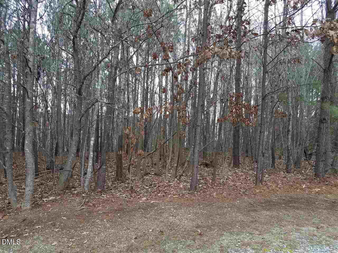 2908 Satori Way Apex North Carolina United States, for Sale, residential, Anto Michael, Fortune Realty