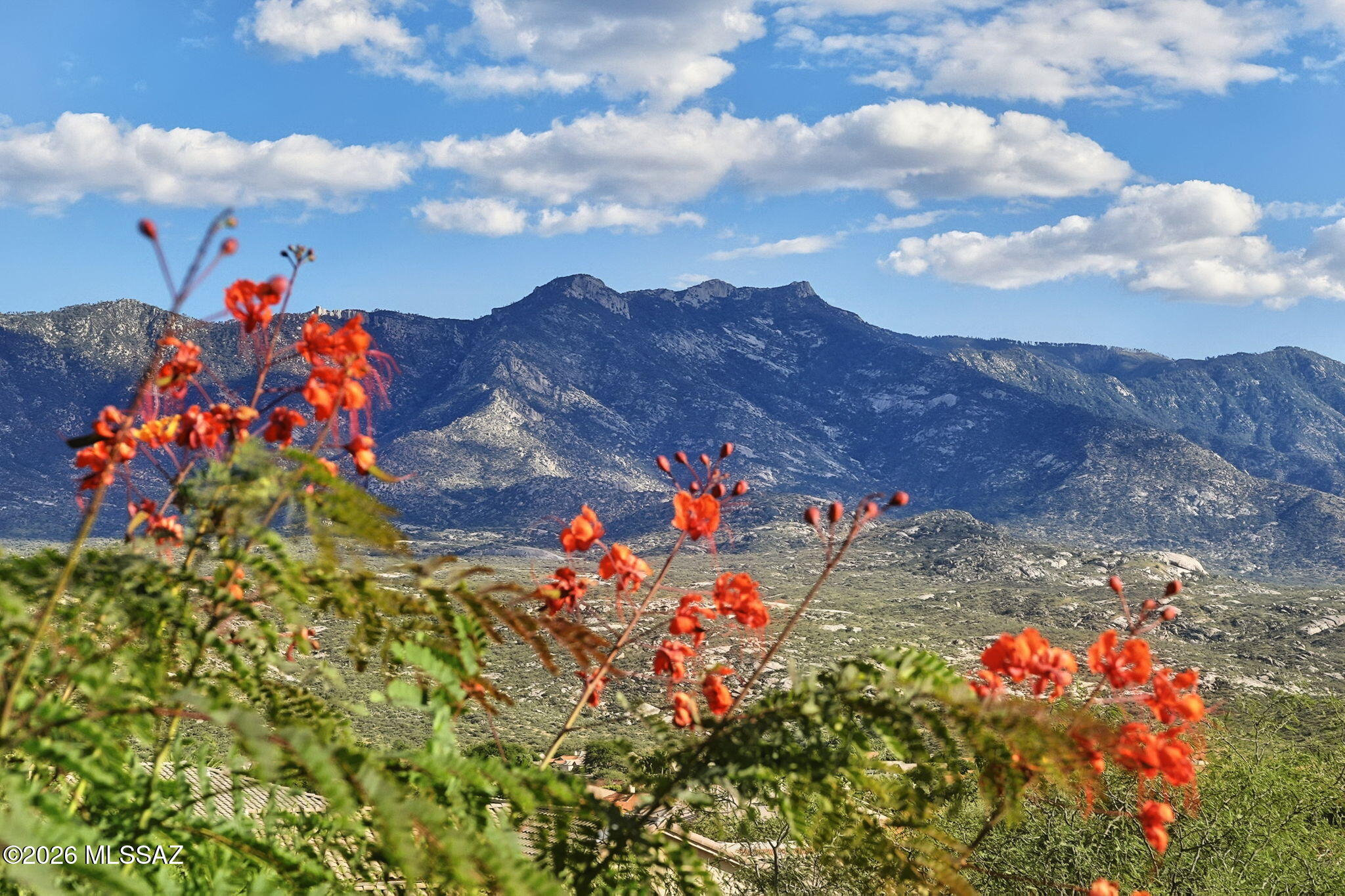 65133 E Diamond Ridge Court Tucson Arizona United States, for Sale, residential, Aaron Lieberman, TIERRA ANTIGUA REALTY