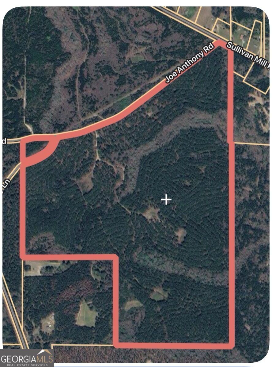 Joe Anthony Rd Senoia Georgia United States, for Sale, commercial, Kit Johnson, Brick and Branch Real Estate