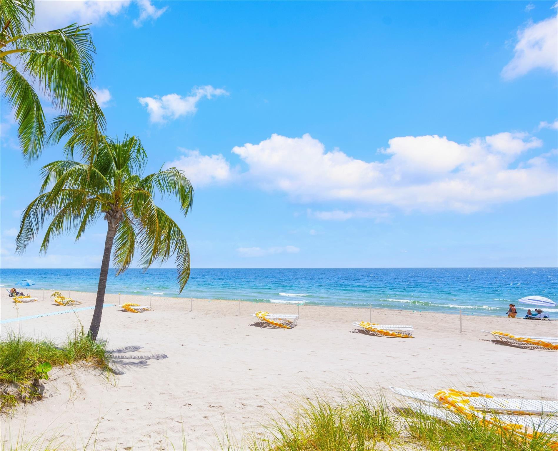2555 NE 11TH Street APT 404 Fort Lauderdale Florida United States, for Rent, residential,  , RCA Realty Group