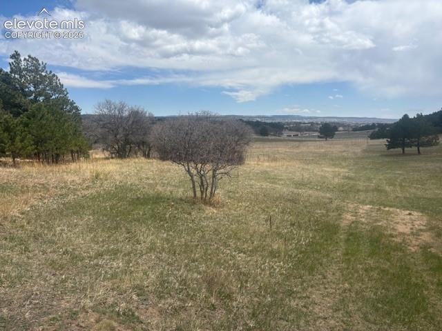 3645 Summertime Court Monument Colorado United States, for Sale, commercial, Christy Dunfee, Realty One Group Apex