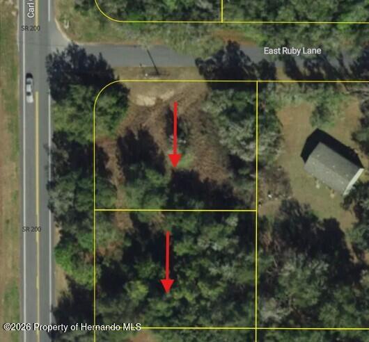 5119 5125 N Carl G Rose Highway Hernando Florida United States, for Sale, commercial,  , Gold Star Realty Group Inc