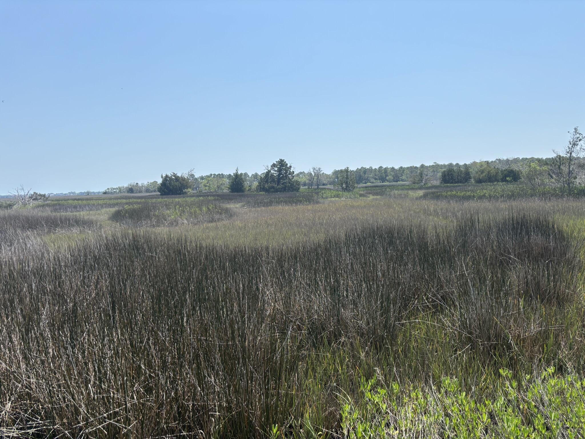 2035 Sol Legare Road Charleston South Carolina United States, for Sale, commercial, Bobbie  Rose, Keller Williams Realty Charleston/West Ashley