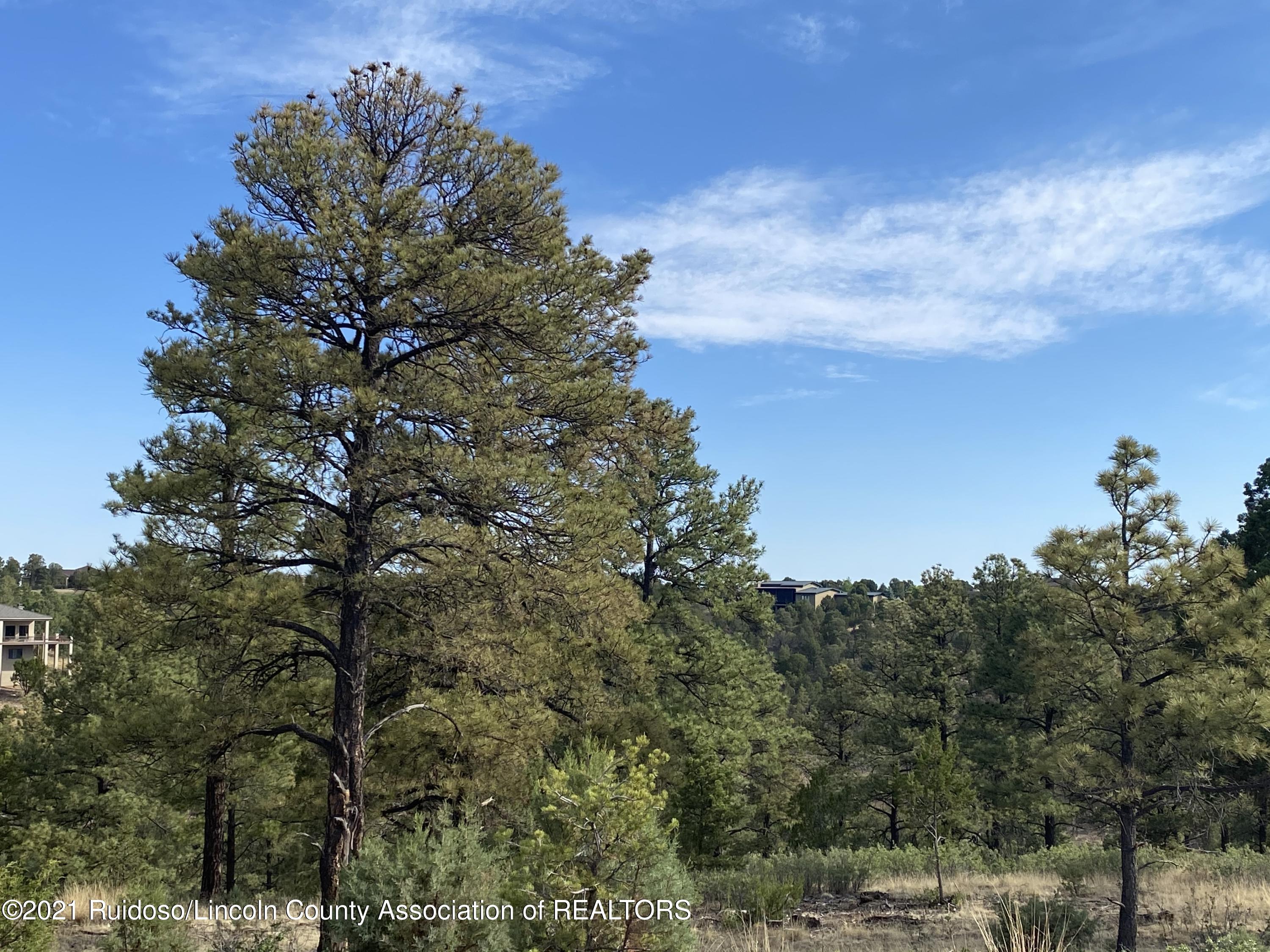 35 Walter Hagan Drive Alto New Mexico United States, for Sale, commercial, Annette  Wood, Ruidoso Dream Catcher Realty