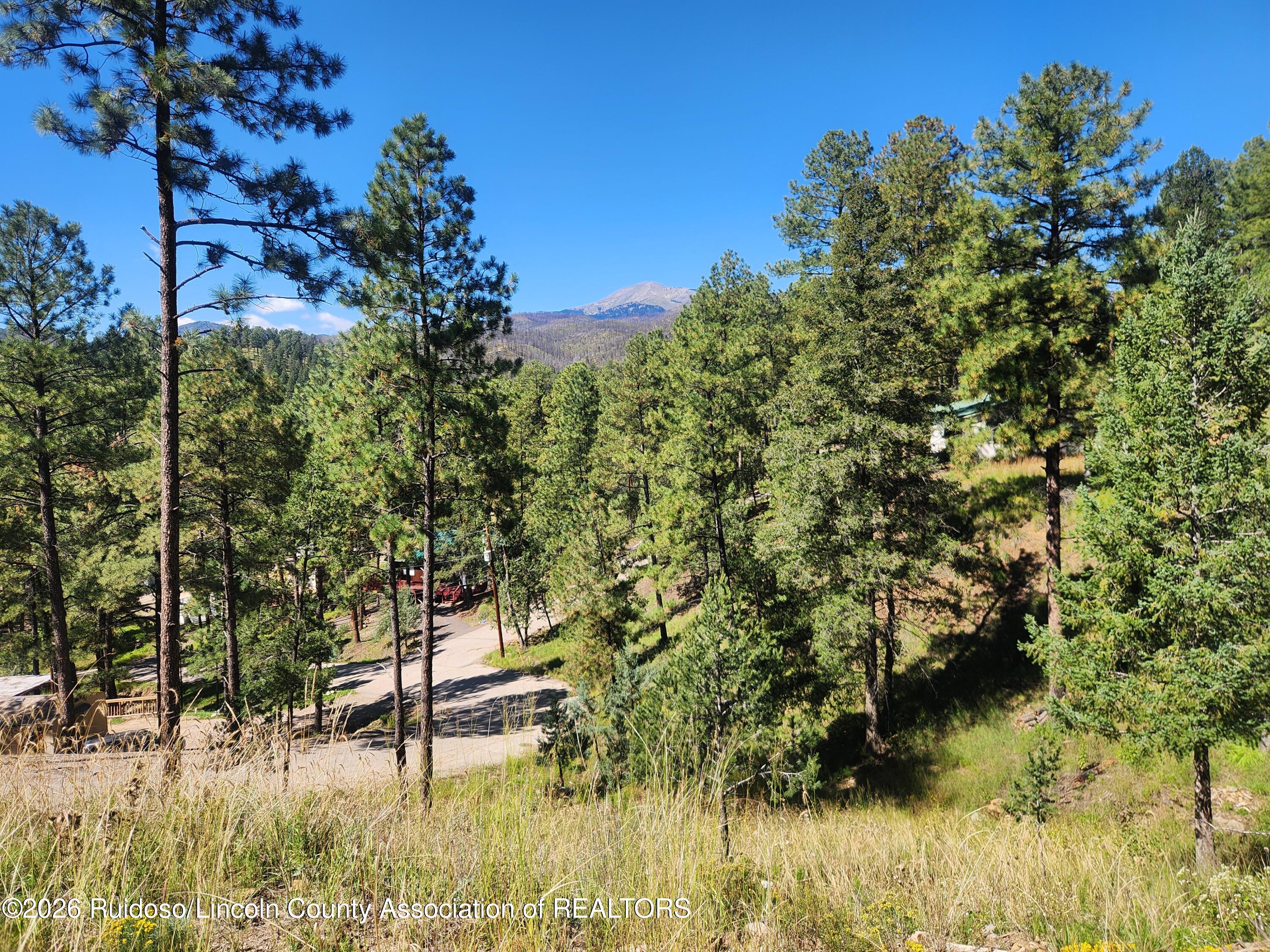 113 N Oak Drive Ruidoso New Mexico United States, for Sale, commercial, Esme Sanchez, Century 21 Aspen Real Estate Company Inc.
