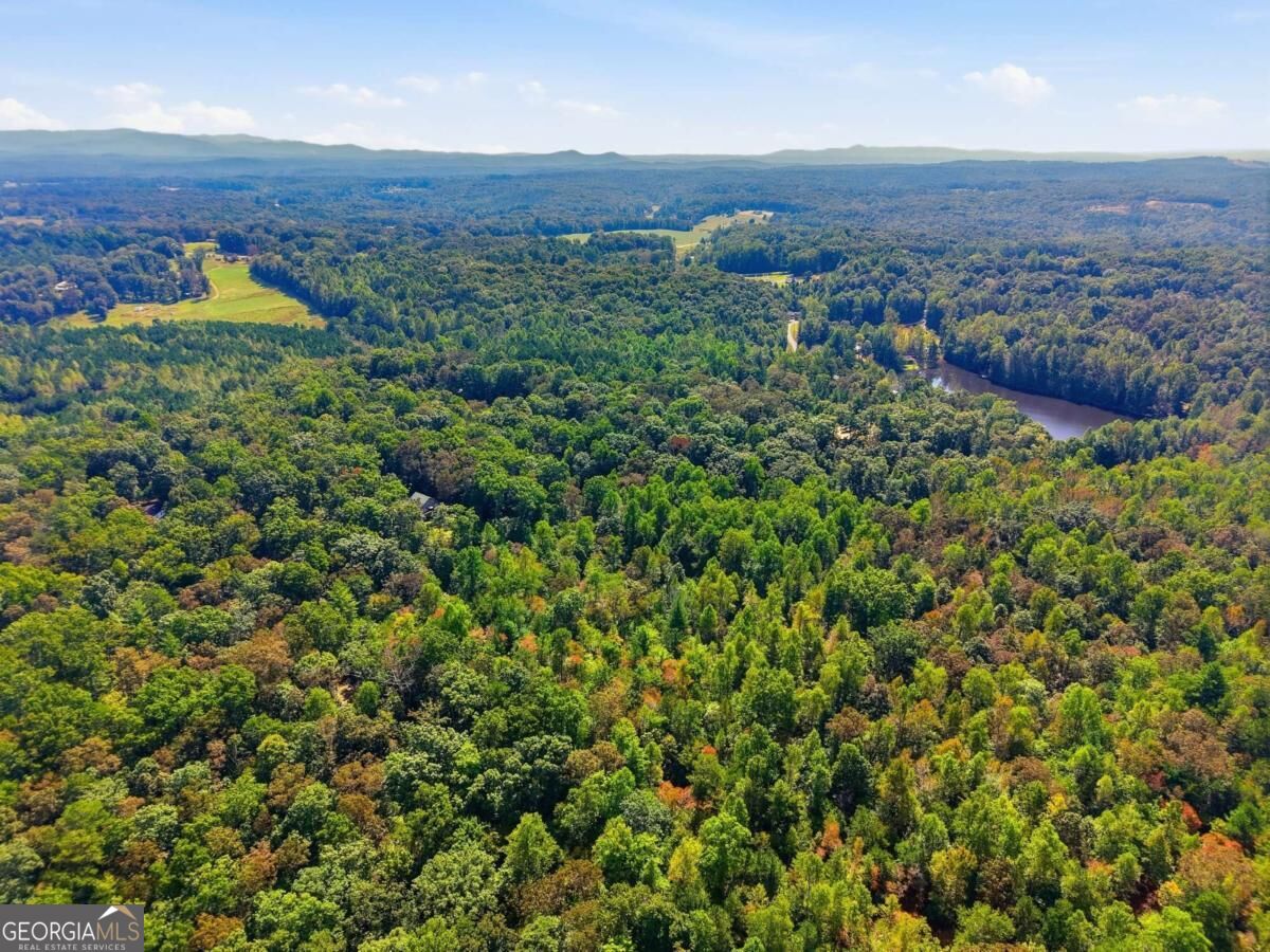 Fern Gully Way Ellijay Georgia United States, for Sale, commercial,  , Tactical Realty LLC