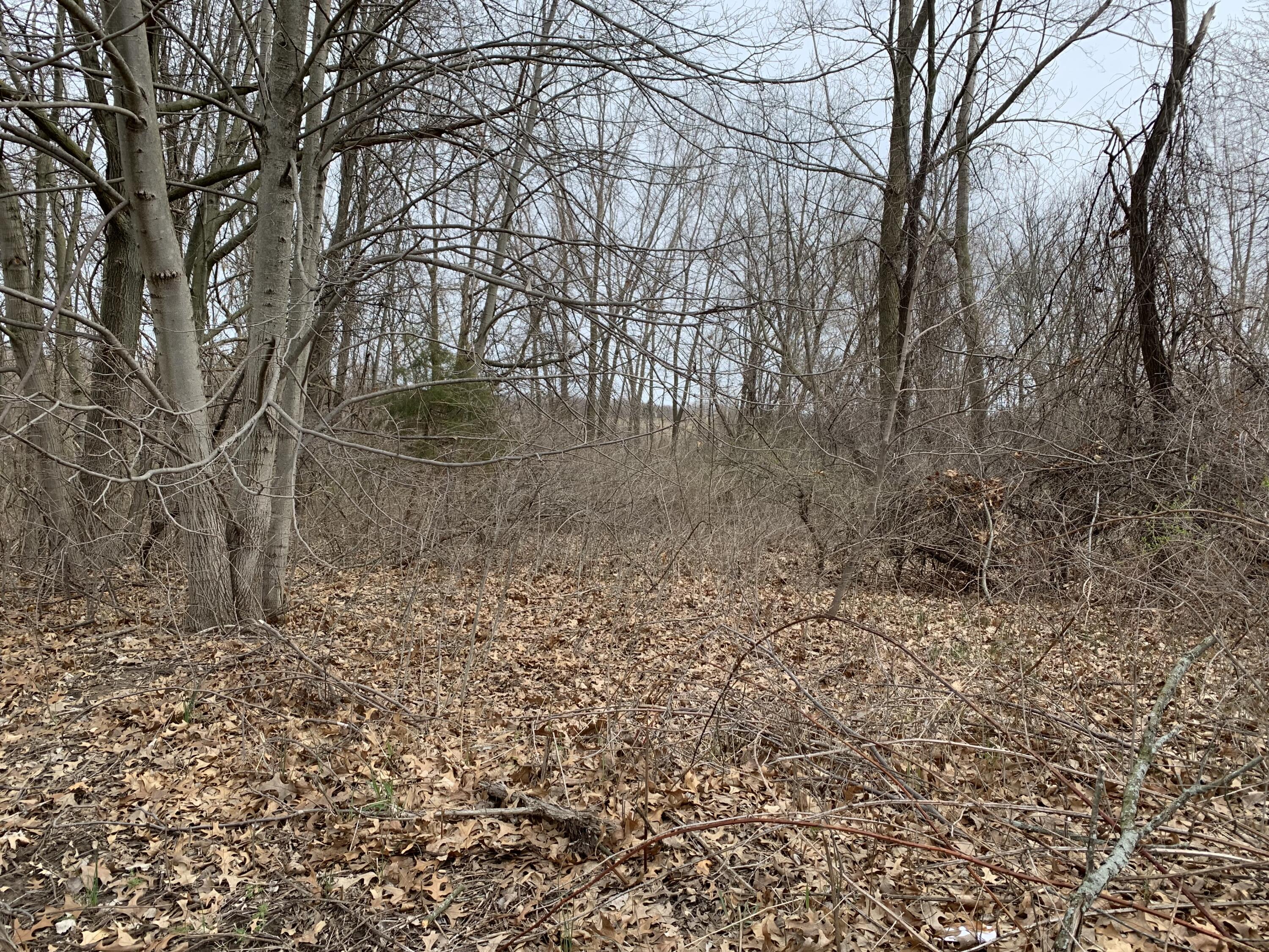 2800 Bristol Avenue APT LOT B Grand Rapids Michigan United States, for Sale, residential,  , RW Daniels Realty