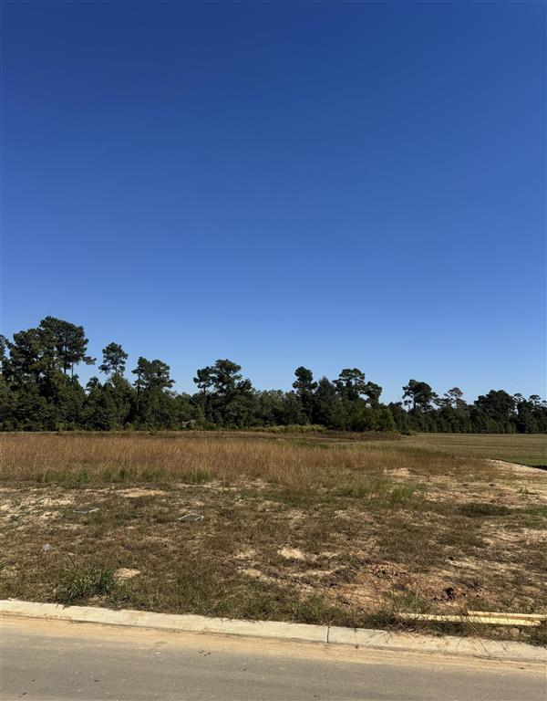 3115 E Blue Heron Drive Lake Charles Louisiana United States, for Sale, commercial, Mural Cormie, CENTURY 21 Bono Realty
