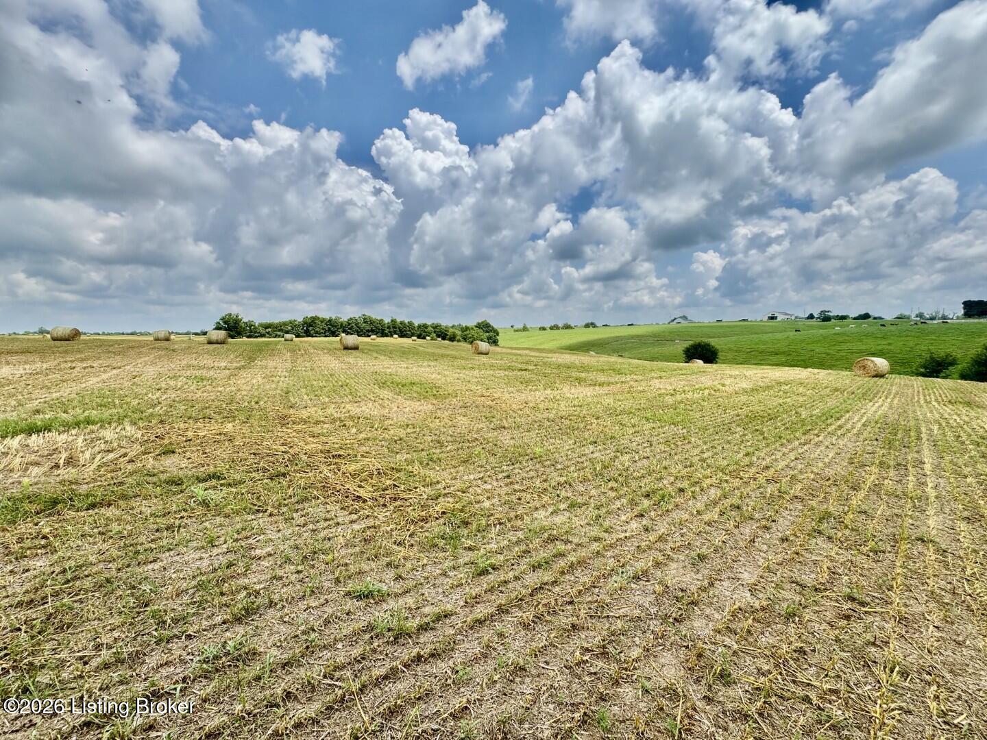 1656-2 Old Perryville Loop Springfield Kentucky United States, for Sale, residential,  , InCom Real Estate - New Demo Office