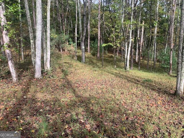 Fox Cove Road Blairsville Georgia United States, for Sale, commercial,  , InCom Real Estate - New Demo Office