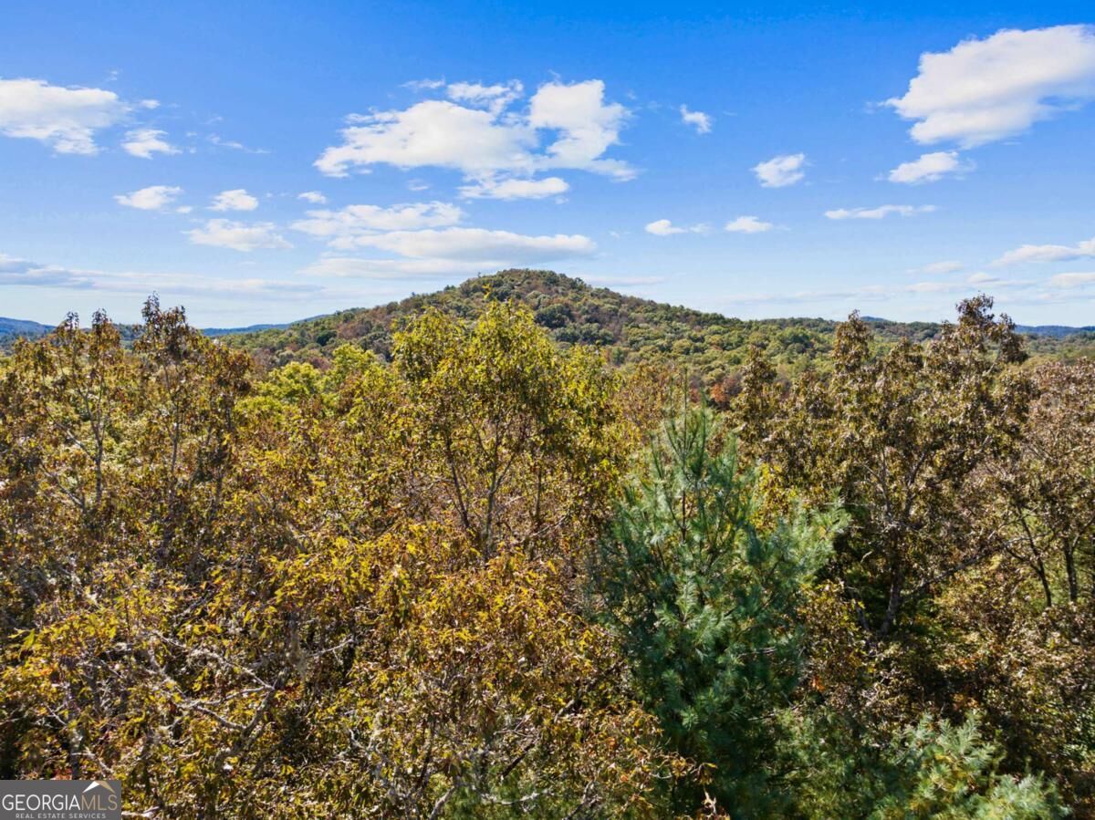 Hillbilly Holler Blue Ridge Georgia United States, for Sale, commercial, Demo Agent, InCom Real Estate - New Demo Office