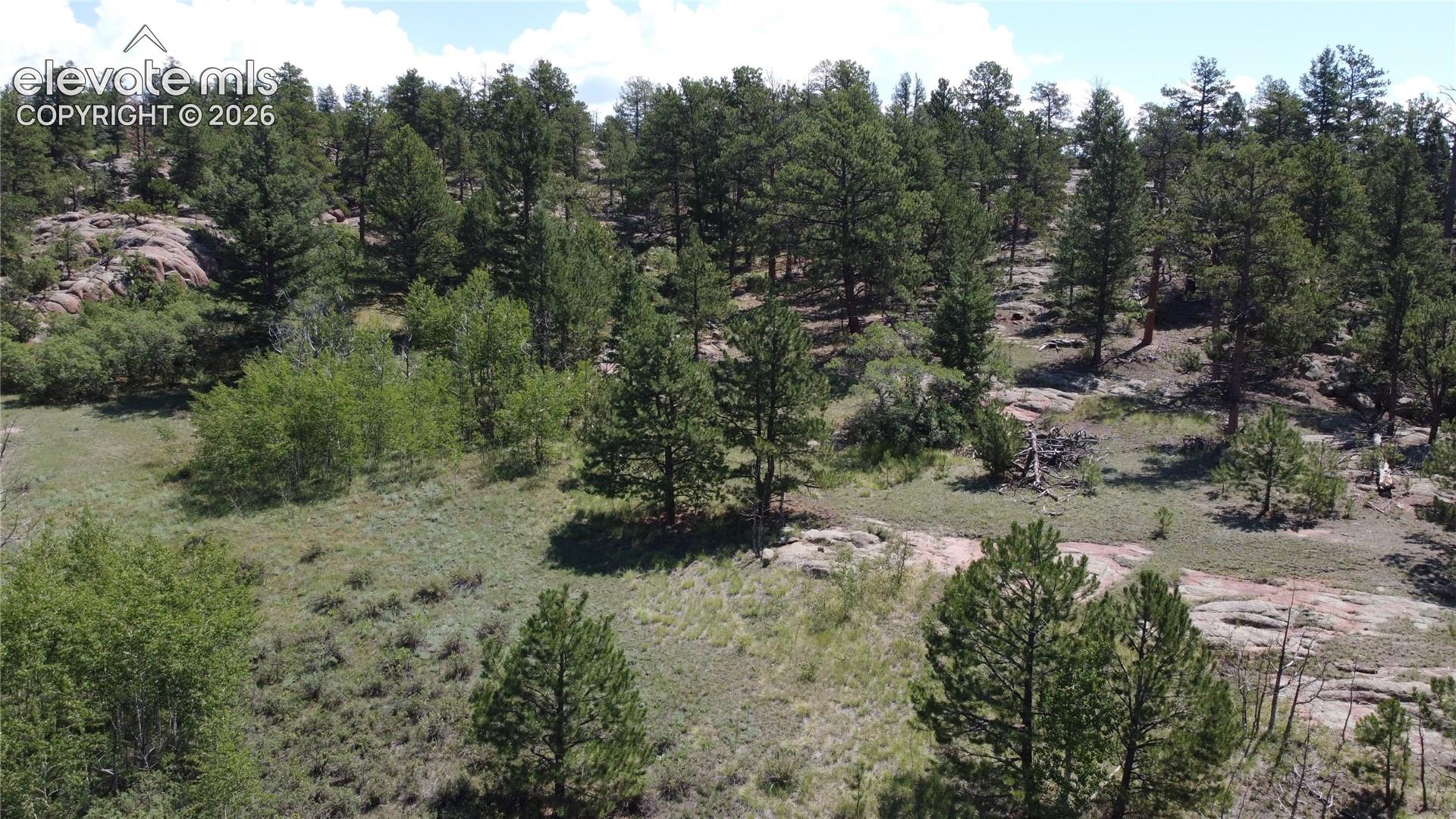 204 Pike View Lane Florissant Colorado United States, for Sale, commercial, Judy Trout, Blue Spruce Real Estate, LLC