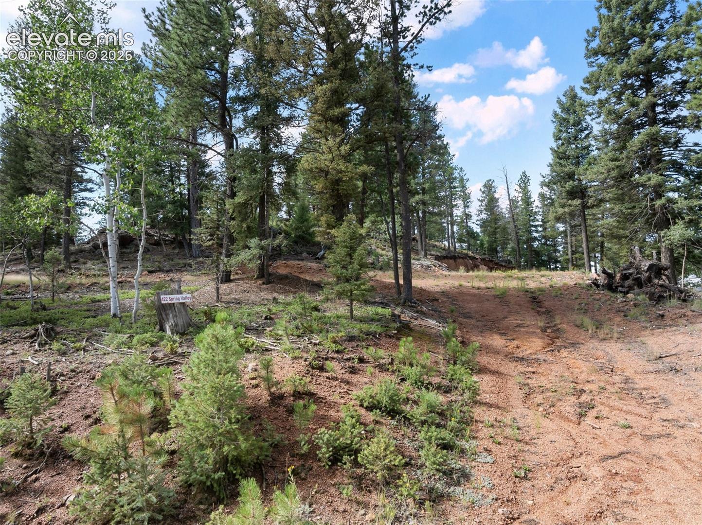 422 Spring Valley Drive Divide Colorado United States, for Sale, commercial, Judy Trout, Blue Spruce Real Estate, LLC