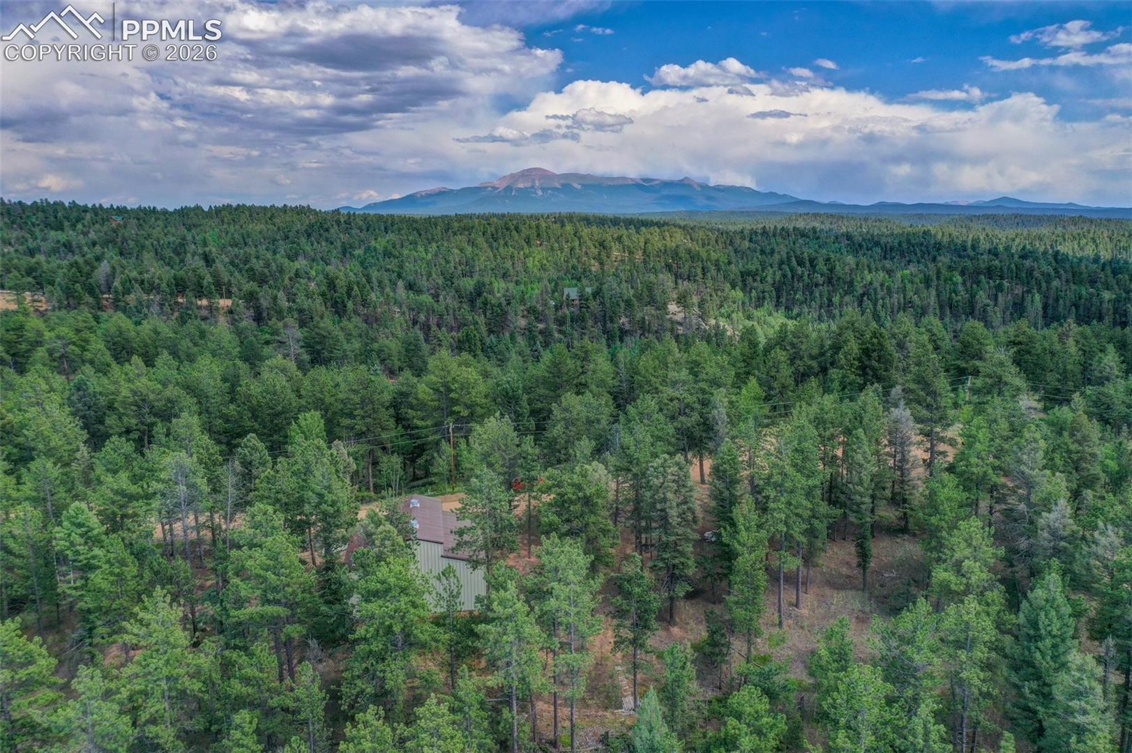 449 Woody Creek Road Florissant Colorado United States, for Sale, commercial, Judy Trout, Blue Spruce Real Estate, LLC
