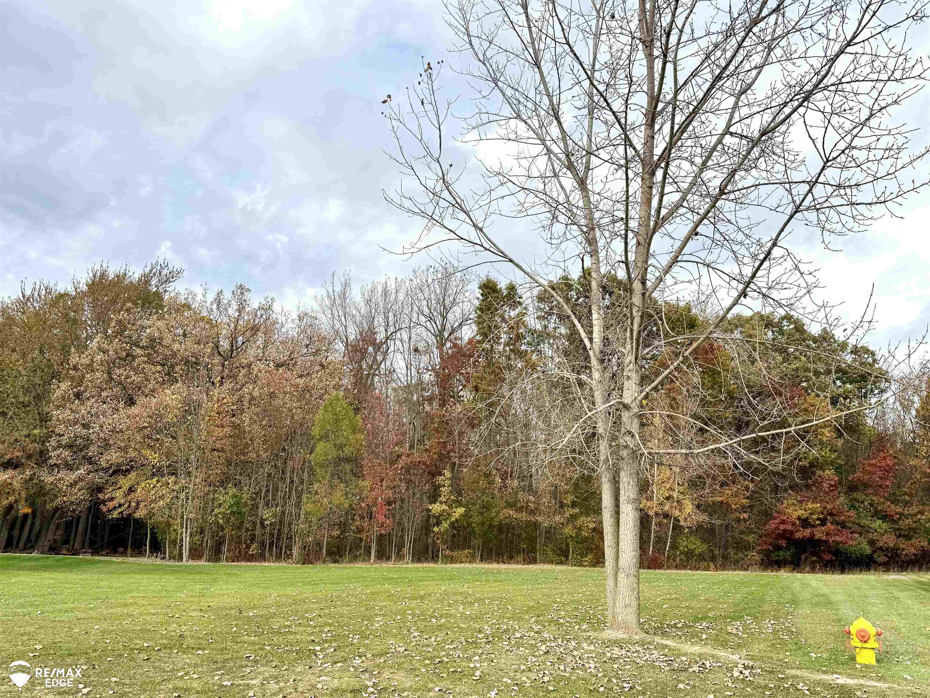 1381 Deer Creek Trail Grand Blanc Michigan United States, for Sale, commercial,  , InCom Real Estate - New Demo Office