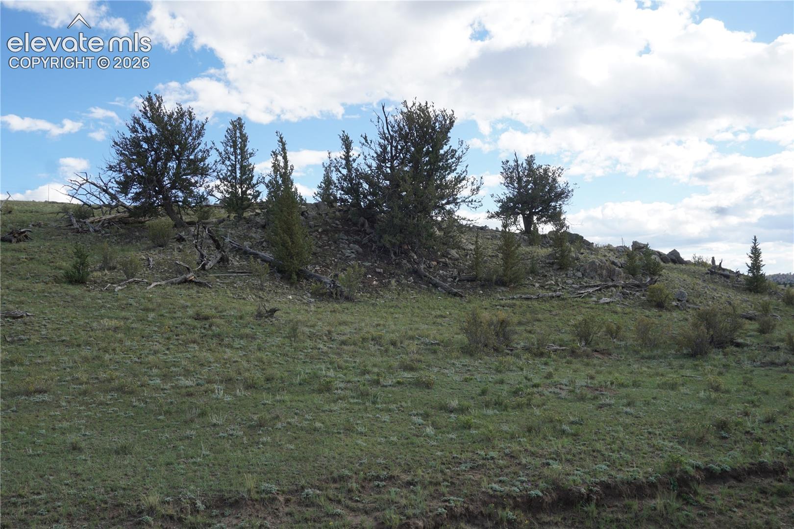 1022 Walls Street Hartsel Colorado United States, for Sale, commercial,  , InCom Real Estate - New Demo Office