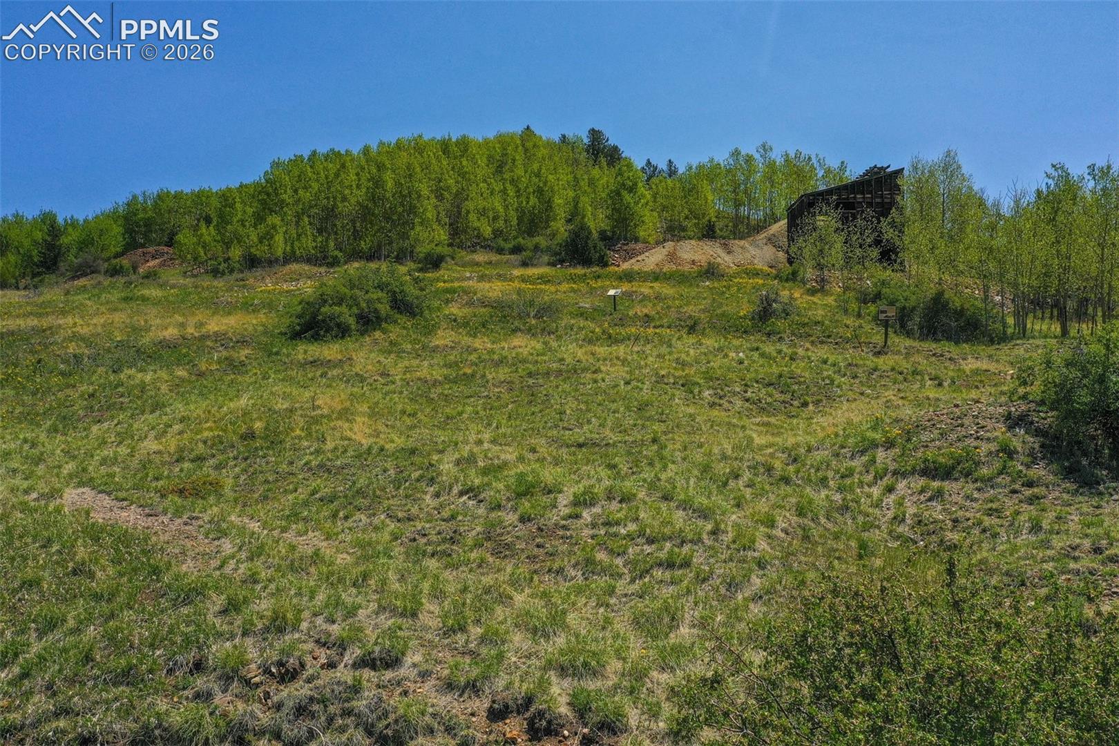 Unknown NA Cripple Creek Colorado United States, for Sale, commercial, Judy Trout, Blue Spruce Real Estate, LLC