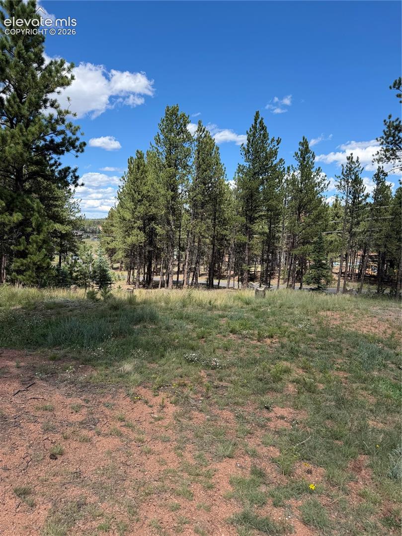 1396 Roberts Ranch Road Woodland Park Colorado United States, for Sale, commercial, Judy Trout, Blue Spruce Real Estate, LLC