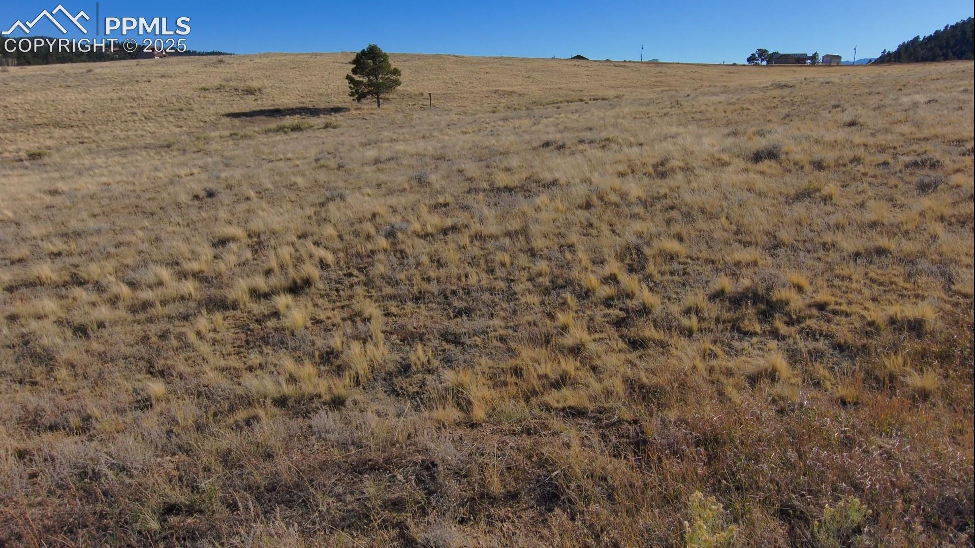 152 Wulstein Way Westcliffe Colorado United States, for Sale, commercial, Judy Trout, Blue Spruce Real Estate, LLC