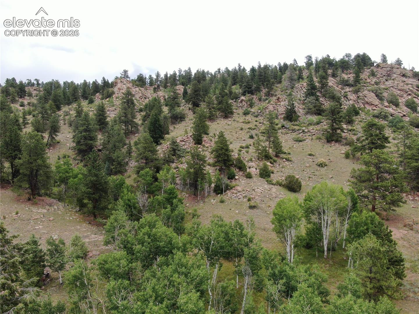 76 Crocus Circle Florissant Colorado United States, for Sale, commercial, Judy Trout, Blue Spruce Real Estate, LLC