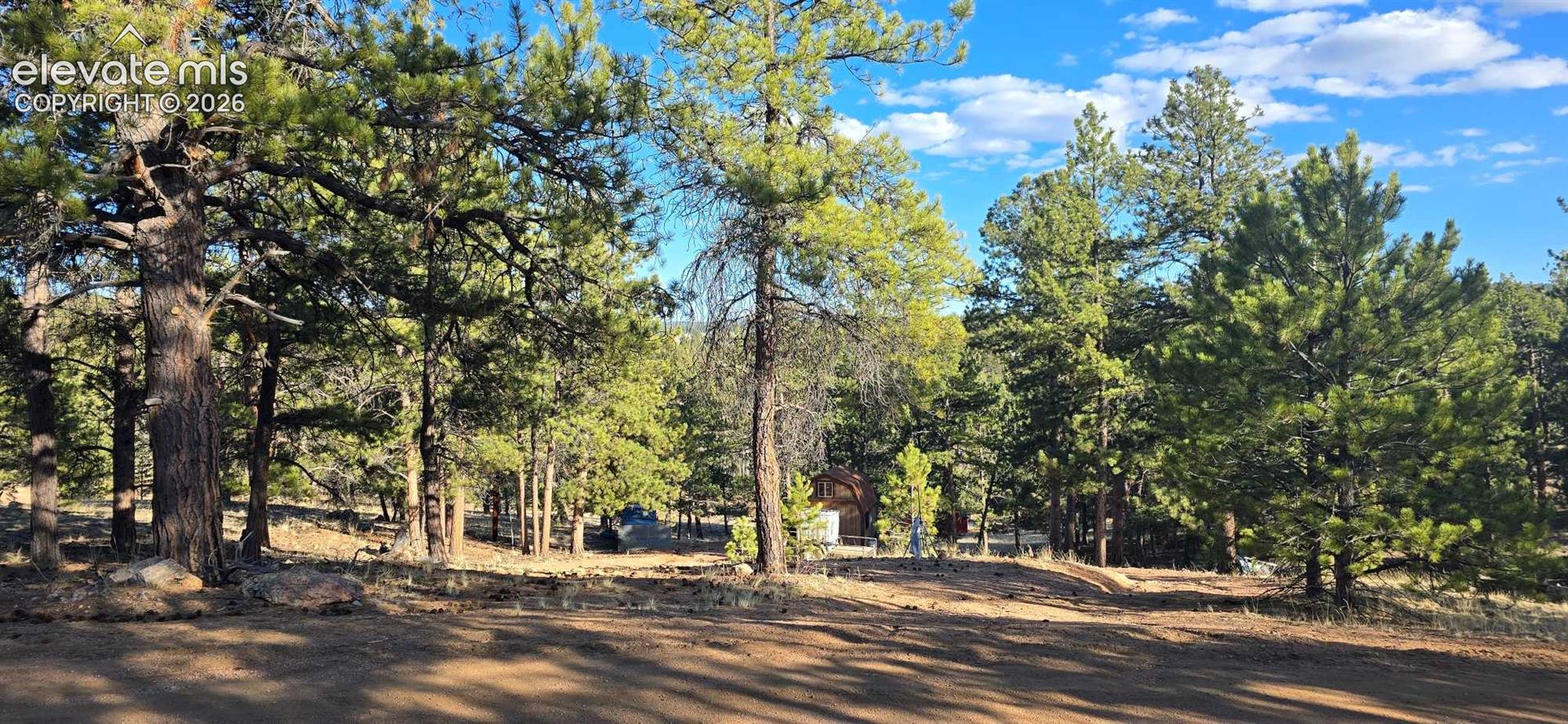 595 Mustang Trail Florissant Colorado United States, for Sale, commercial, Judy Trout, Blue Spruce Real Estate, LLC
