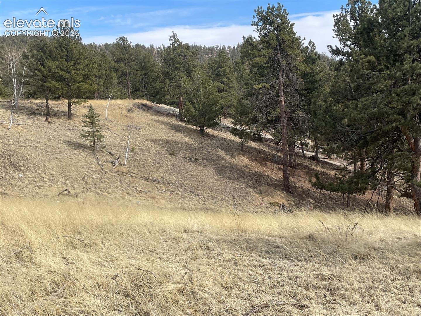 86 & 122 Junction Circle Florissant Colorado United States, for Sale, commercial, Judy Trout, Blue Spruce Real Estate, LLC
