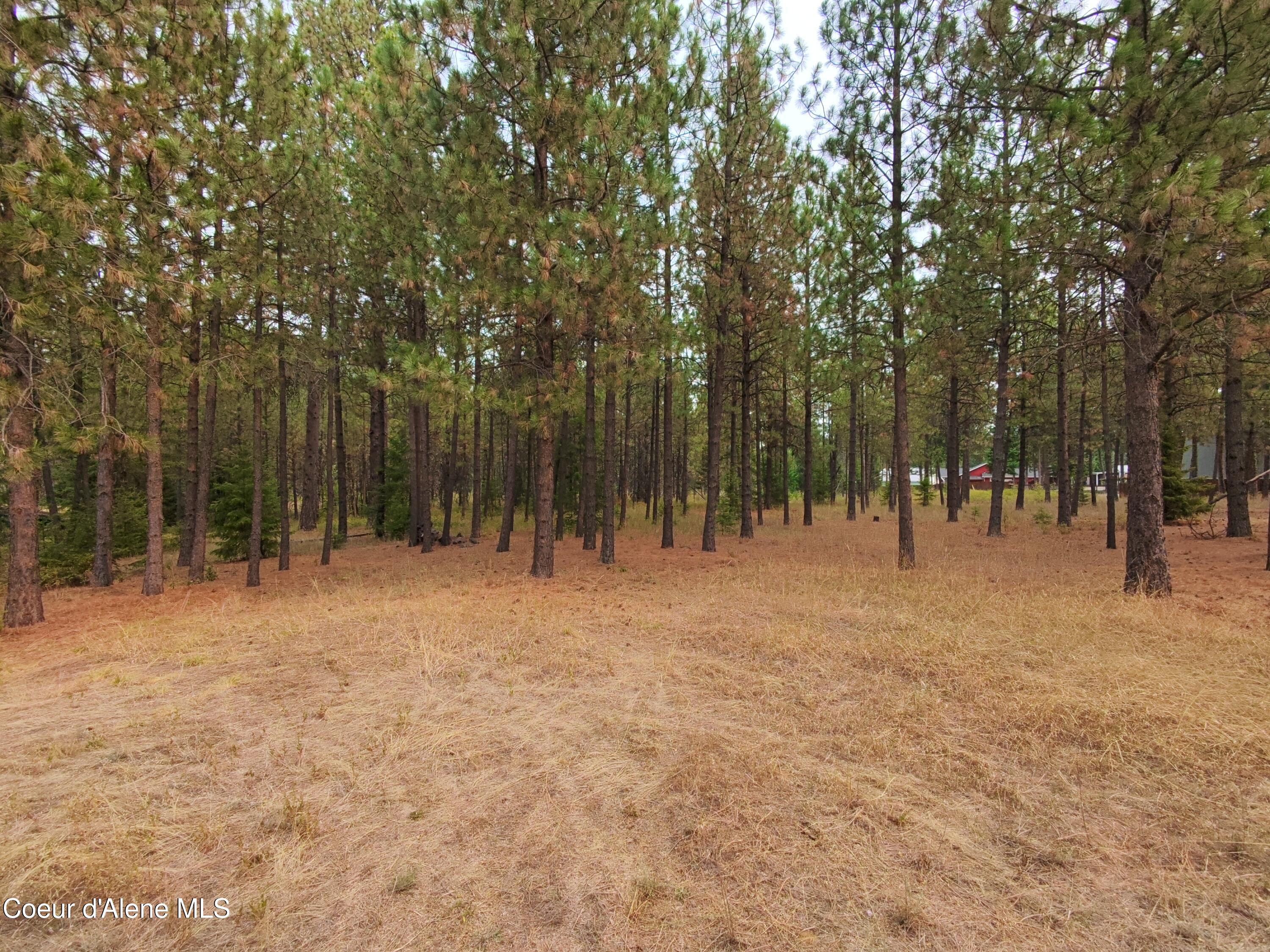 NA 11th Ave Spirit Lake Idaho United States, for Sale, residential, Jenna Wynand, Realty ONE Group Eclipse