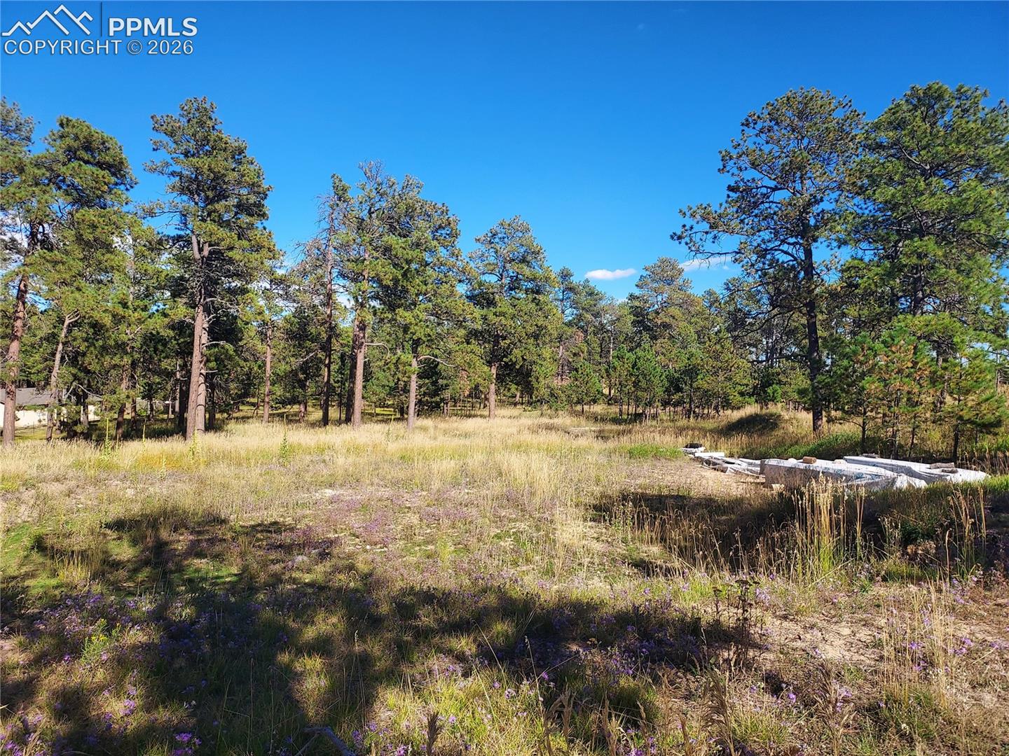 13395 Frank Road Colorado Springs Colorado United States, for Sale, commercial, Judy Trout, Blue Spruce Real Estate, LLC