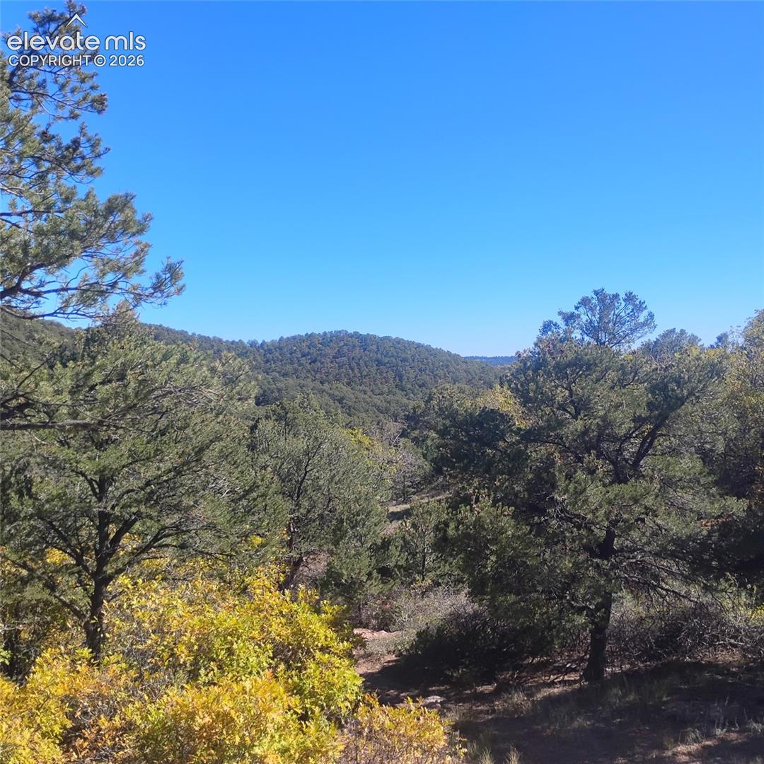 468 Rye Whiskey Trail Canon City Colorado United States, for Sale, commercial, Judy Trout, Blue Spruce Real Estate, LLC