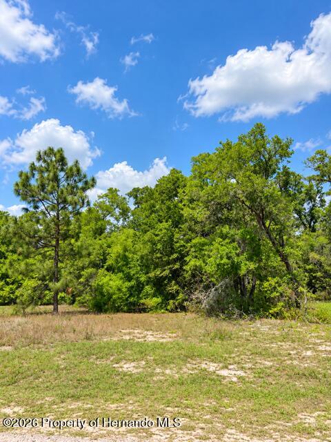 11992 N Condor Drive Dunnellon Florida United States, for Sale, residential,  , Gold Star Realty Group Inc