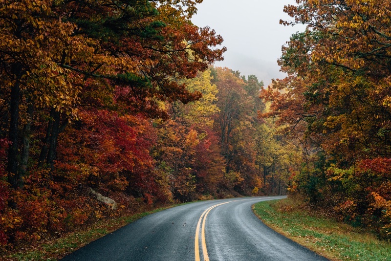 north carolina bus tour companies