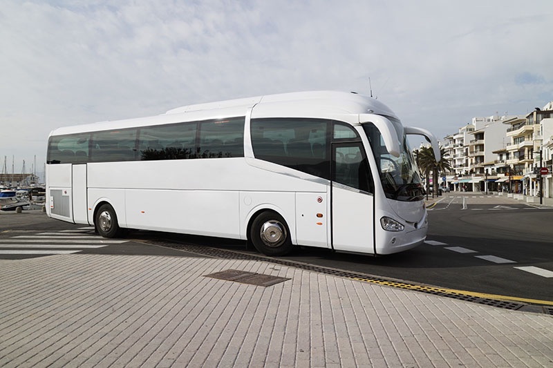 Amusement Park Charter Bus & Minibus Rental