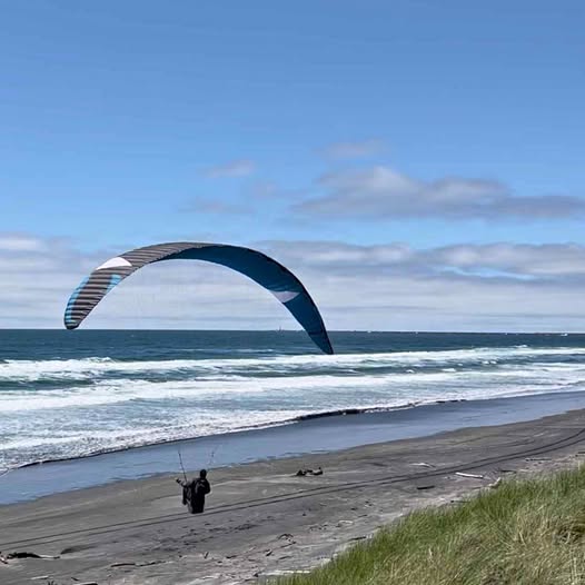 Flow Mullet X - 23.5 M