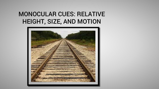 monocular cues relative clarity