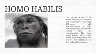 homo habilis tools and weapons