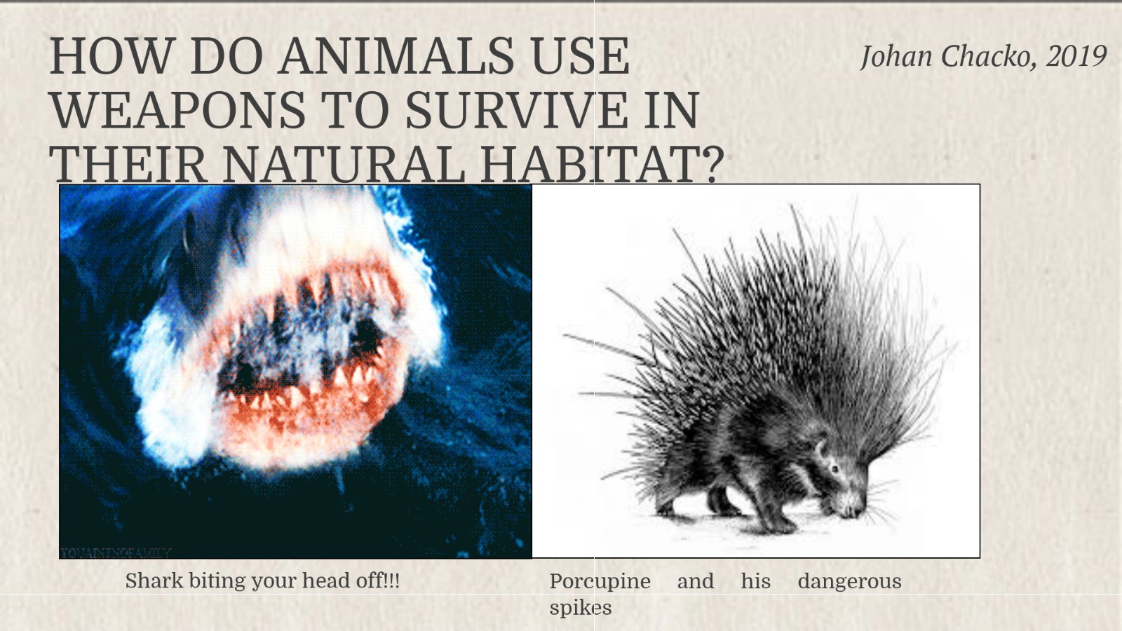 Animals are using weapons to survive in their natural by on emaze Animals are using weapons to survive in their natural by on emaze