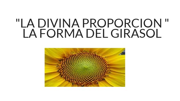 la forma del girasol by evelyndite on emaze