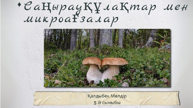 Порно актриса Таня Хайд