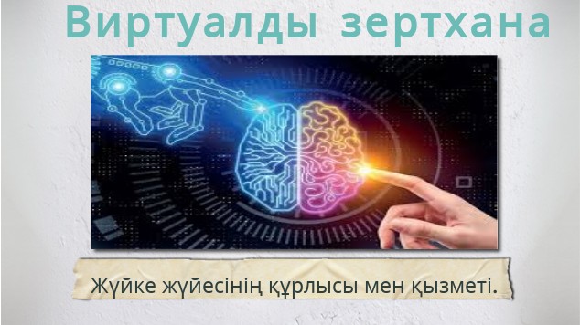 Кубалық порно