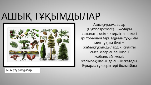 Бұталарға сину