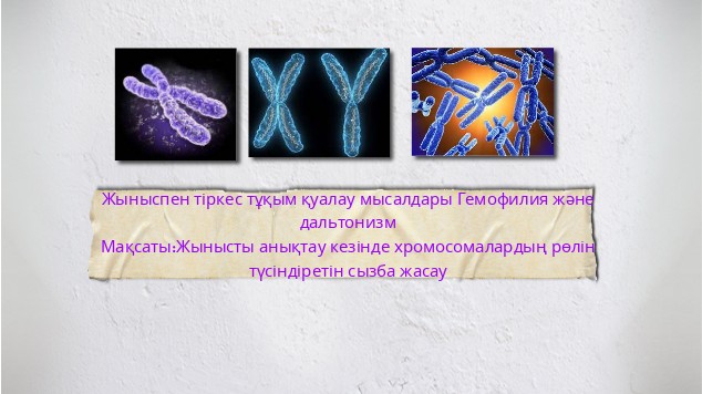 Әйел ғашығынан видеоны көру үшін оралды.